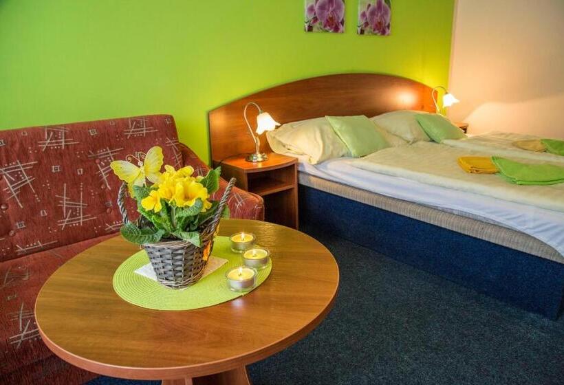 スタンダードルーム, Centrum Harrachov