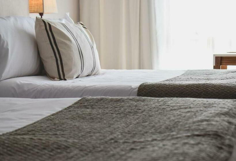 ファミリールーム, Cyan Soho Neuquen