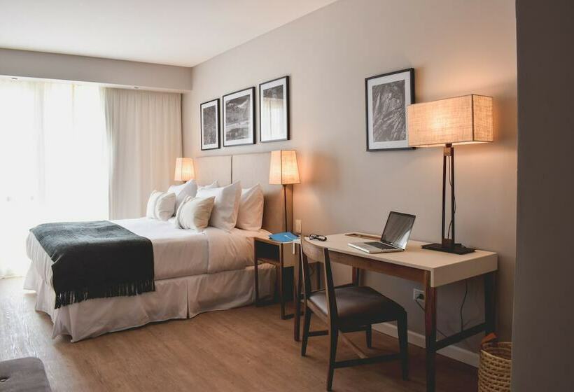 수피리어 룸, Cyan Soho Neuquen