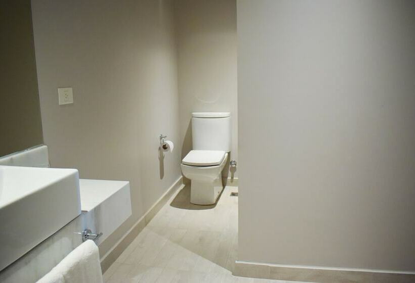 スーペリアールーム, Cyan Soho Neuquen