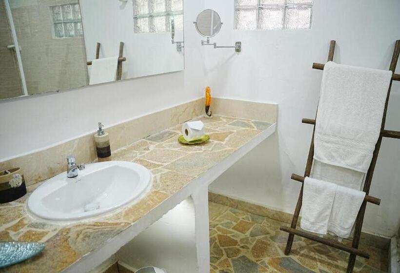 جناح جونيور, Isla Real