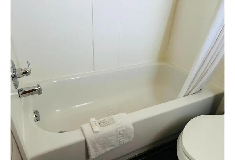 Superior-huone King-vuode, Budget Inn Motel Perrysburg Oh