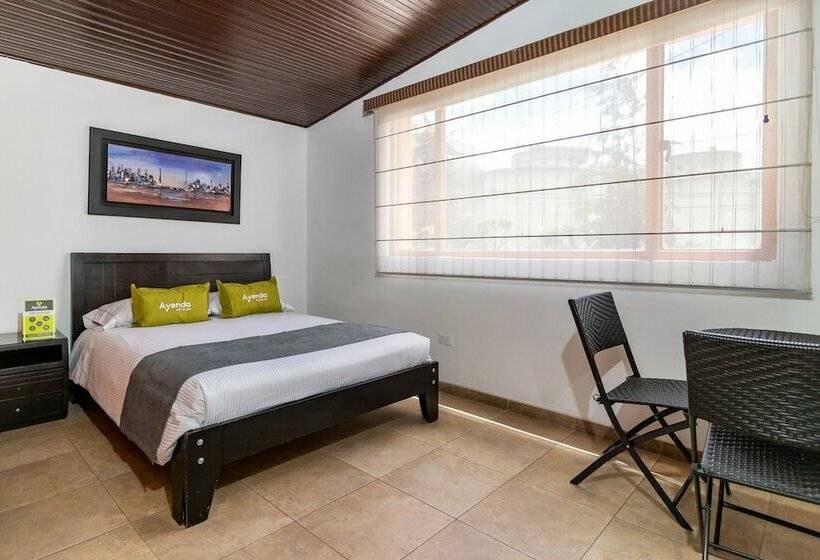 标准间, Ayenda 1087 La Estacion