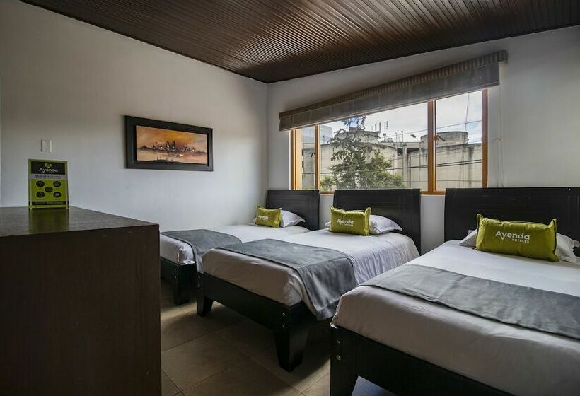 标准三人间, Ayenda 1087 La Estacion