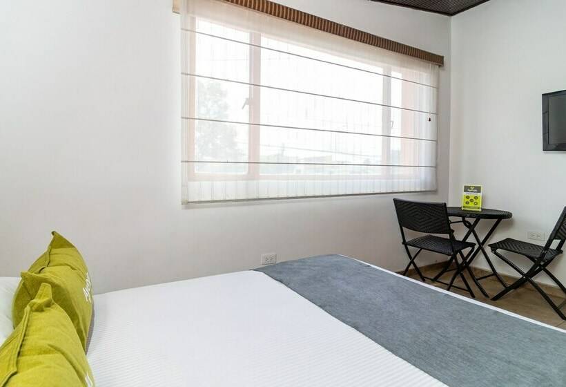 标准间, Ayenda 1087 La Estacion