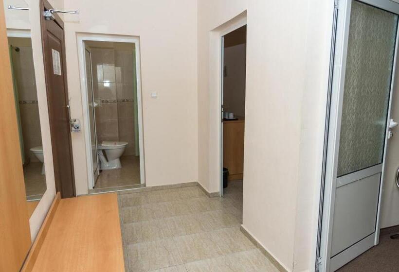 带1个卧室的带阳台的公寓, Central