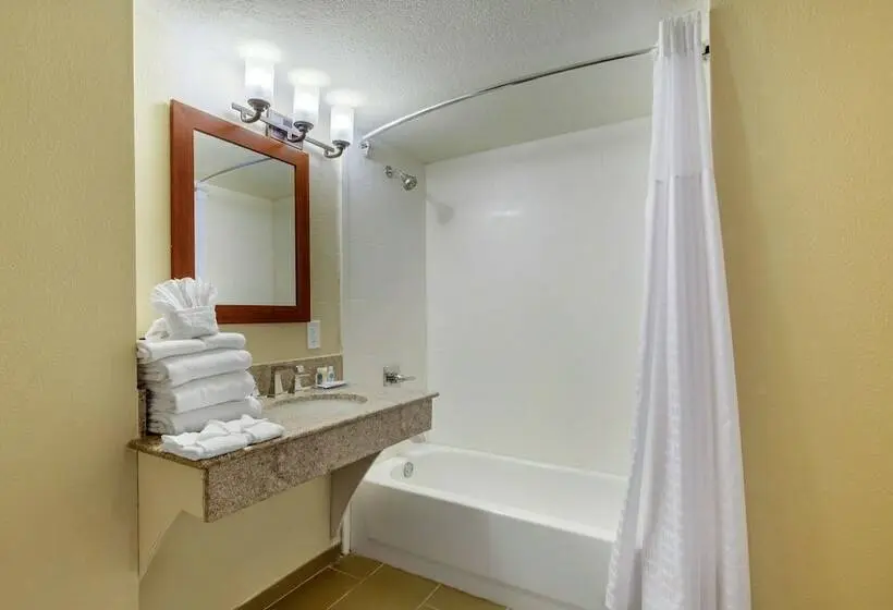 スイート, Comfort Inn & Suites Sw Houston Sugarland