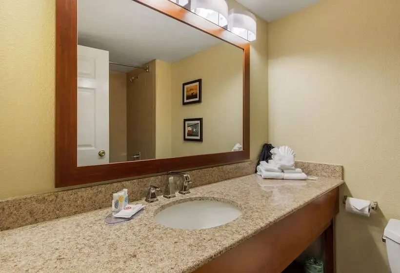 スイート, Comfort Inn & Suites Sw Houston Sugarland