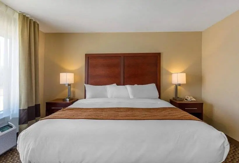 スイート, Comfort Inn & Suites Sw Houston Sugarland