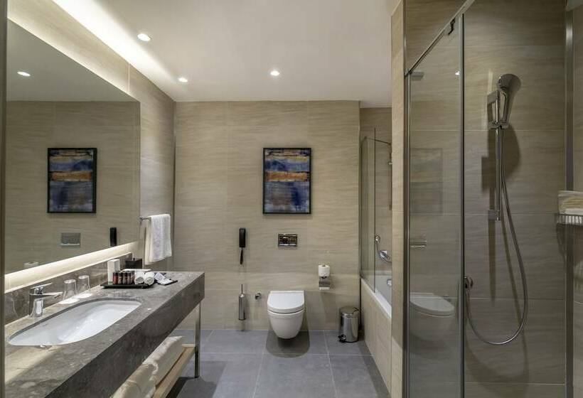 スタンダードルーム, Crowne Plaza Cappadocia   Nevsehir, An Ihg