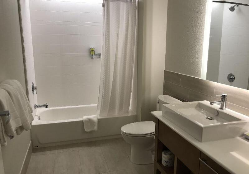 Стандартный Номер Кровать Кинг, Element Houston Katy