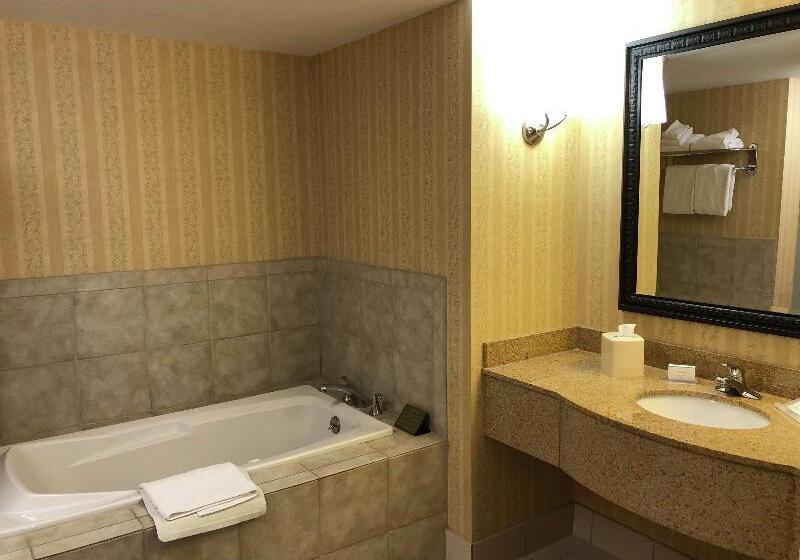 Номер Deluxe, Holiday Inn Club Vacations Fox River Resort At Sheridan