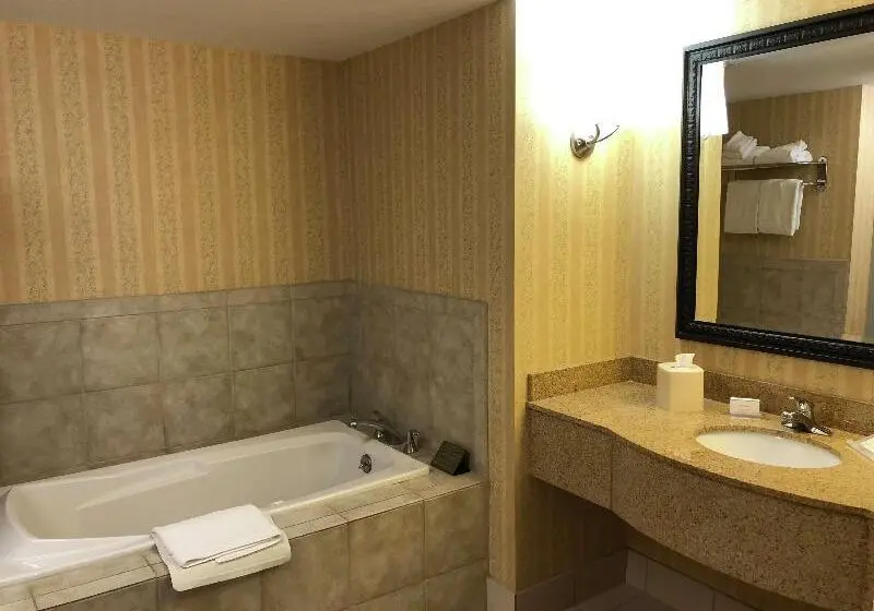 デラックスルーム, Holiday Inn Club Vacations Fox River Resort At Sheridan
