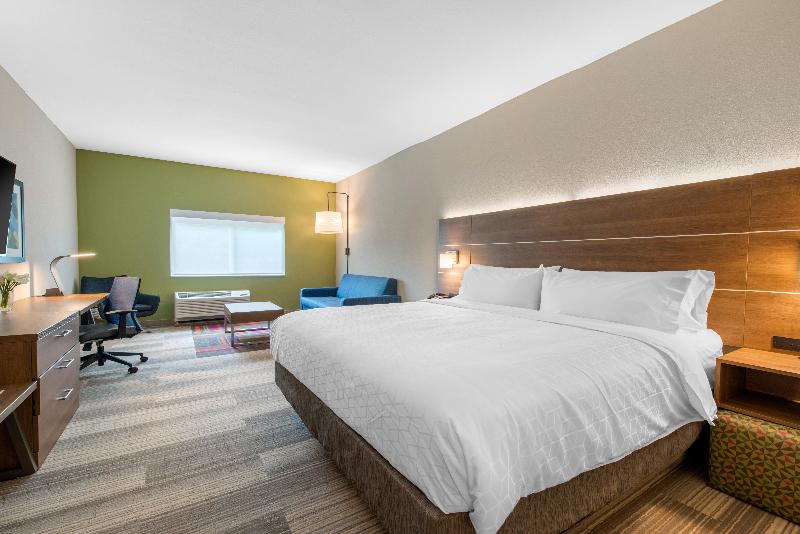 جناح سرير كينج, Holiday Inn Express & Suites Alachua   Gainesville Area, An Ihg
