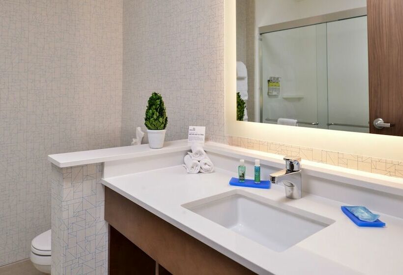 Standart Oda, Holiday Inn Express & Suites Alachua   Gainesville Area, An Ihg