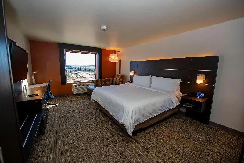身障者適用キングサイズベッドルーム, Holiday Inn Express & Suites   Colorado Springs Afa Northgate, An Ihg