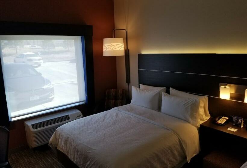 Номер Стандарт, Holiday Inn Express & Suites Colorado Springs Afa Northgate, An Ihg