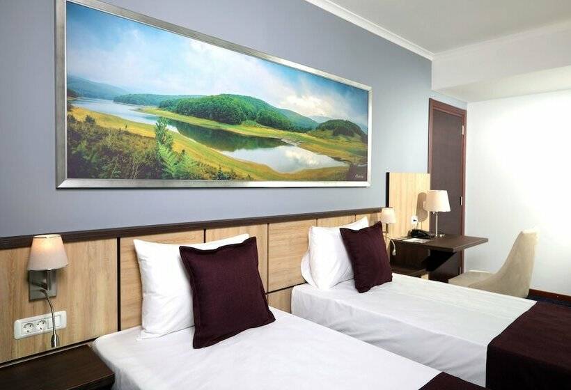 اتاق استاندارد, Mercure Tetovo