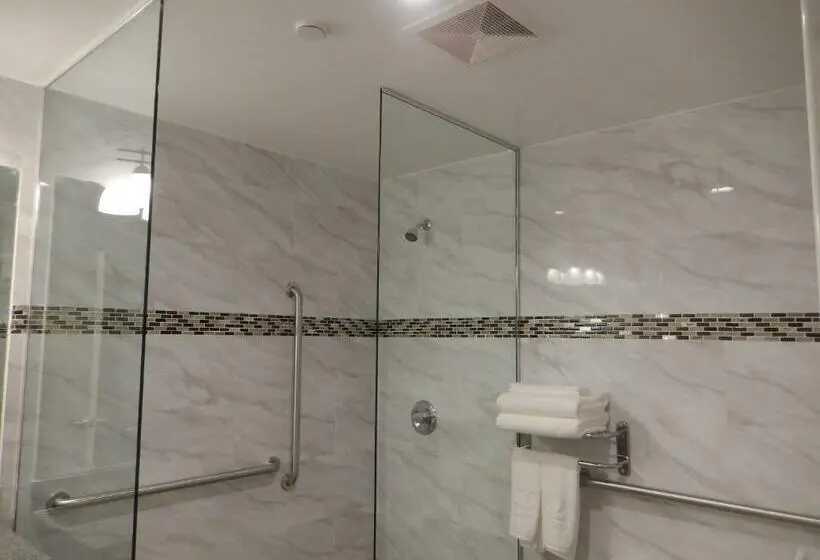 اتاق استاندارد با تخت بزرگ, Quality Inn Near Sunset Park