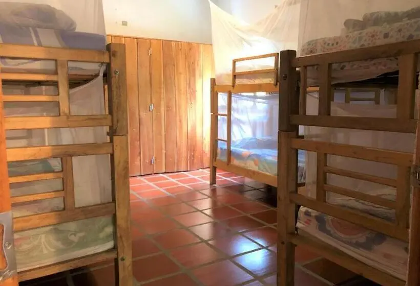 ルームシェアのワンベッド, Finca Carpe Diem Ecolodge