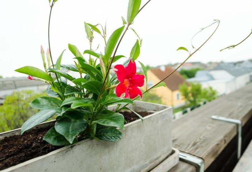 Номер Стандарт с Балконом, Gästehaus Herlinde