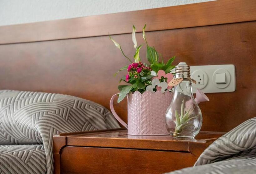 חדר סטנדרט, Sierra De Arcos