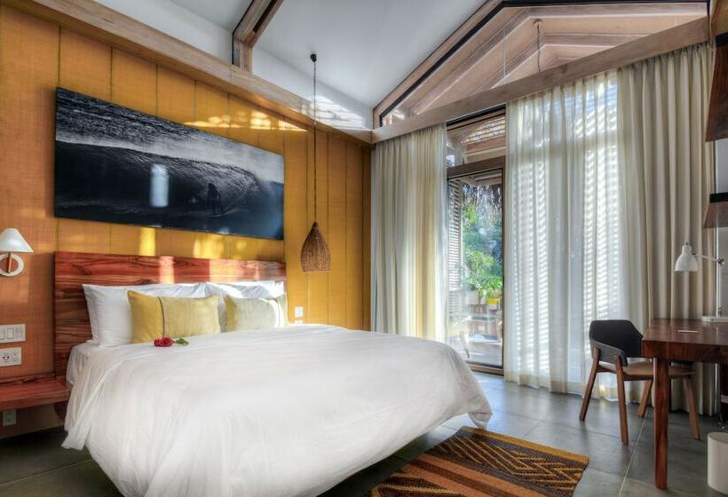 プレミアムルーム, The Gilded Iguana