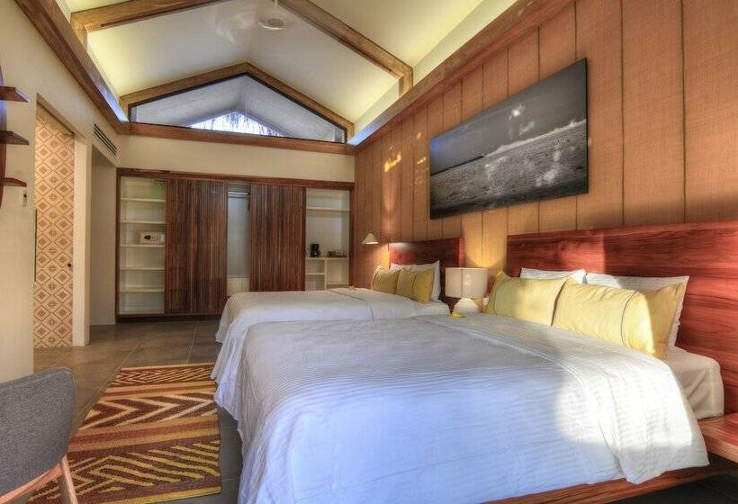 プレミアムルーム, The Gilded Iguana