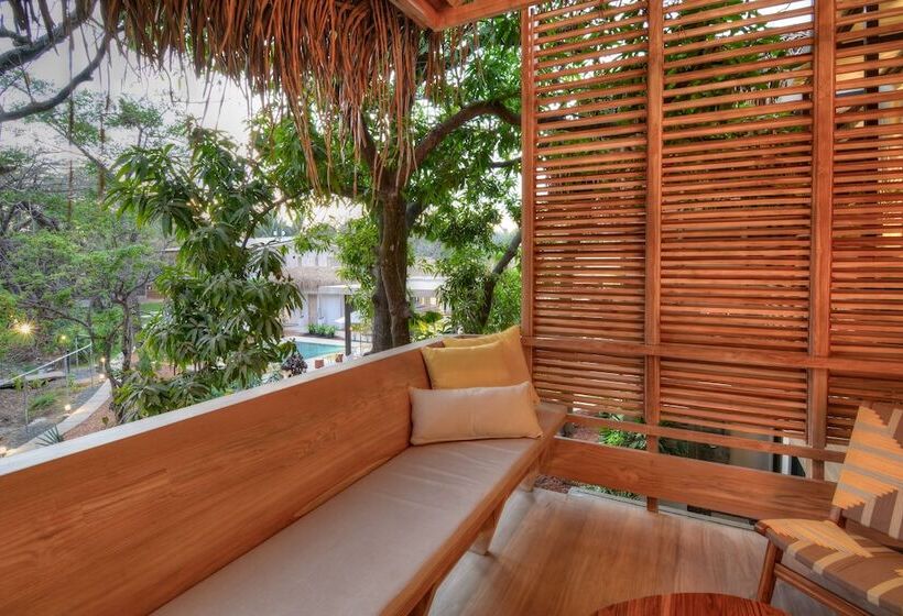 プレミアムルーム, The Gilded Iguana