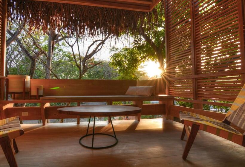 プレミアムルーム, The Gilded Iguana