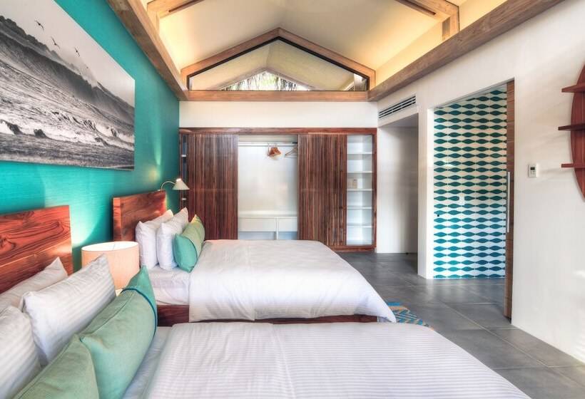 プレミアムルーム, The Gilded Iguana