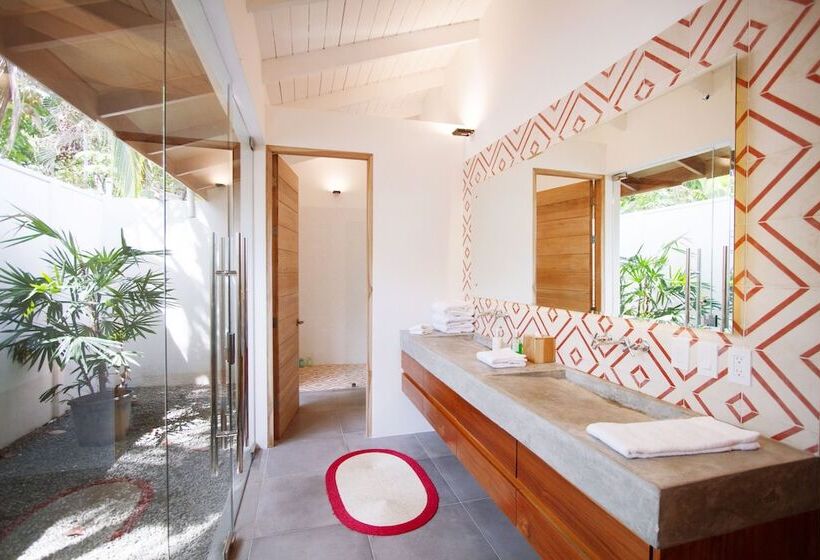 スイート, The Gilded Iguana