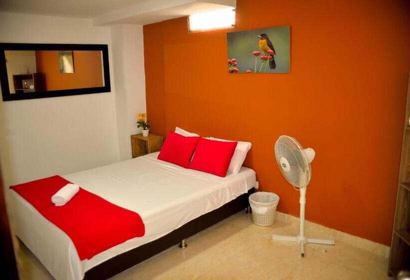 اتاق استاندارد, Casa Alejandria