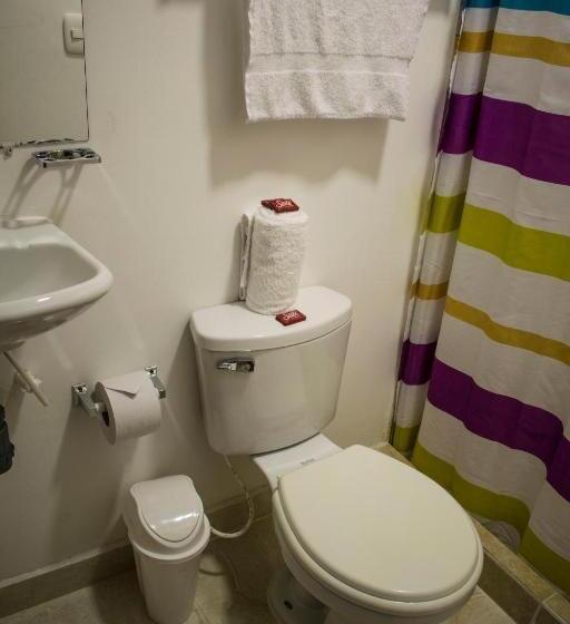 اتاق استاندارد چهار تخته, Casa Alejandria