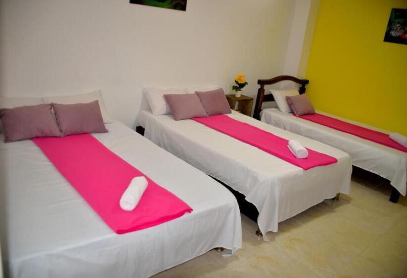 اتاق استاندارد چهار تخته, Casa Alejandria