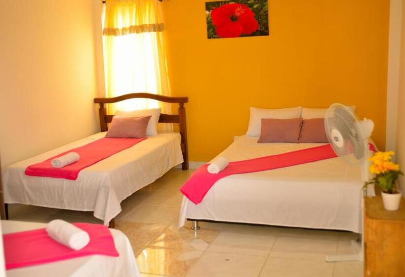 اتاق استاندارد چهار تخته, Casa Alejandria