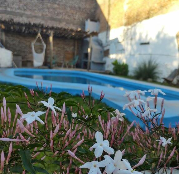 اتاق لوکس, El Bicho Negro Hostel