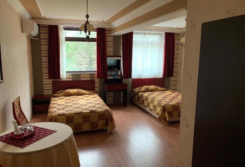 이코노미 룸, Konak