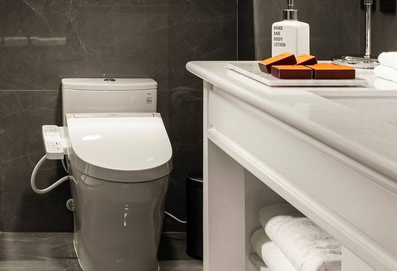 اتاق لوکس, Debaines Hotel Santiago