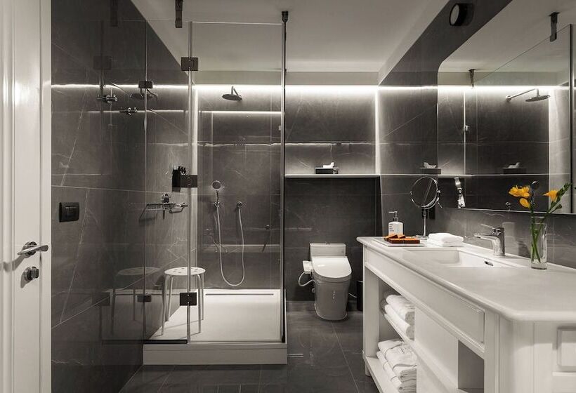 豪华房间, Debaines Hotel Santiago