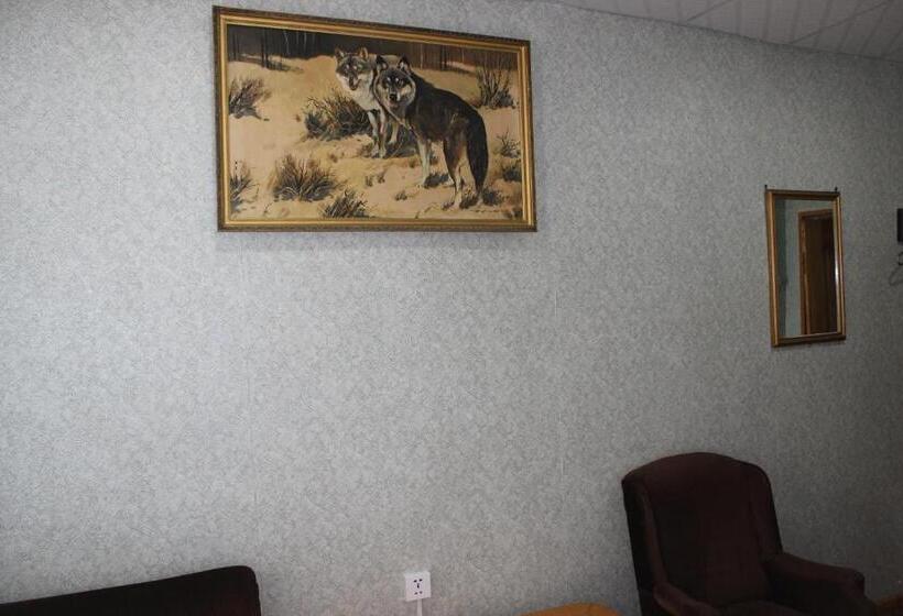 اتاق استاندارد, City Hostel & Tours