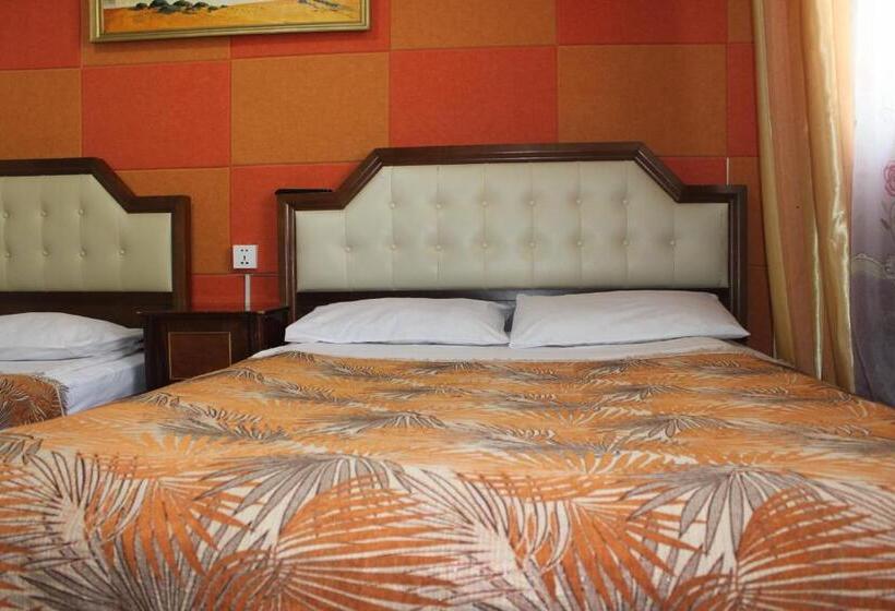 اتاق استاندارد, City Hostel & Tours