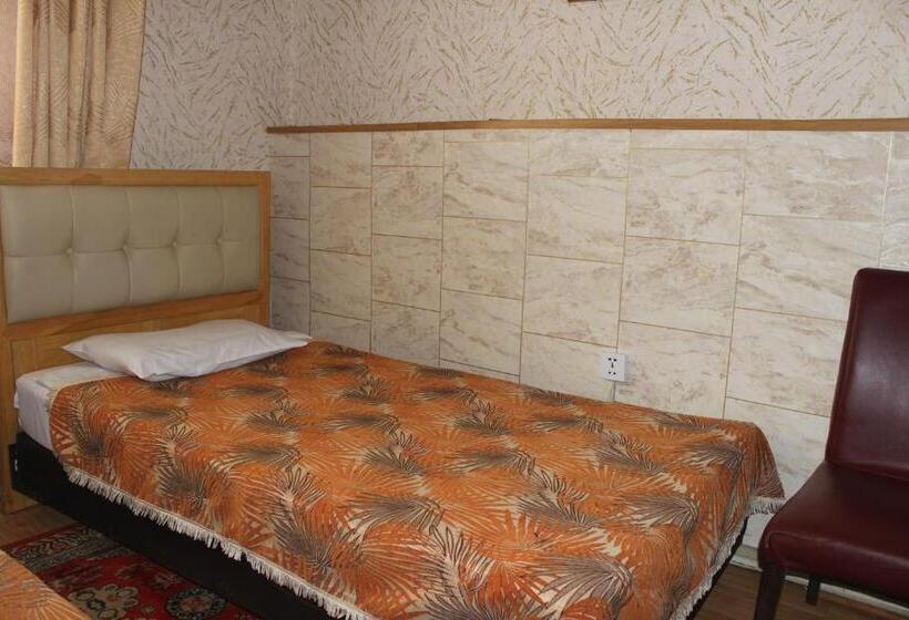 اتاق اکونومی, City Hostel & Tours