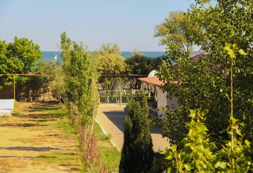 Family Suite, Mavi Dalga Beach