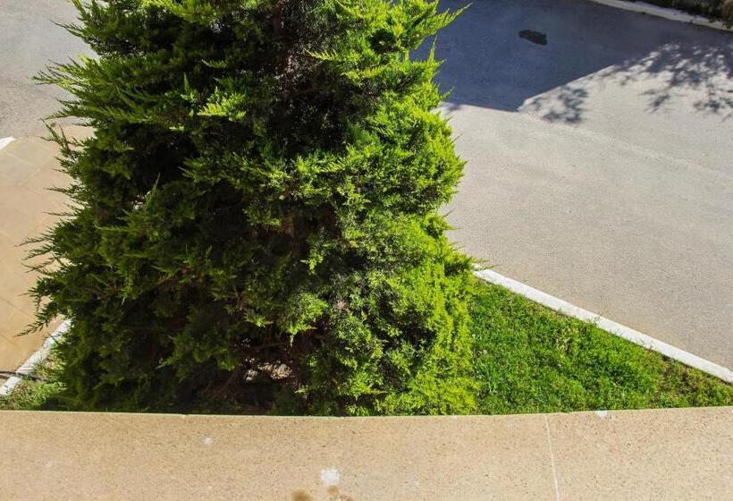 Family Suite, Mavi Dalga Beach