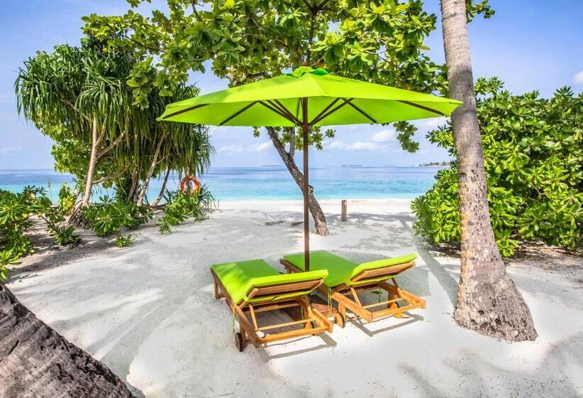 ویلای 1 خوابه, Emerald Maldives Resort & Spa Deluxe All Inclusive