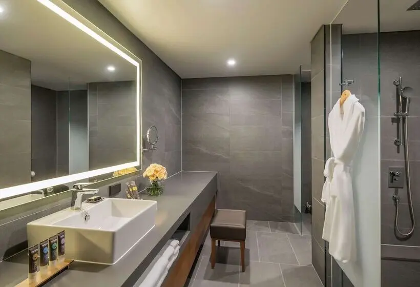 デラックスルーム, Novotel Ambassador Seoul Dongdaemun Hotels & Residences