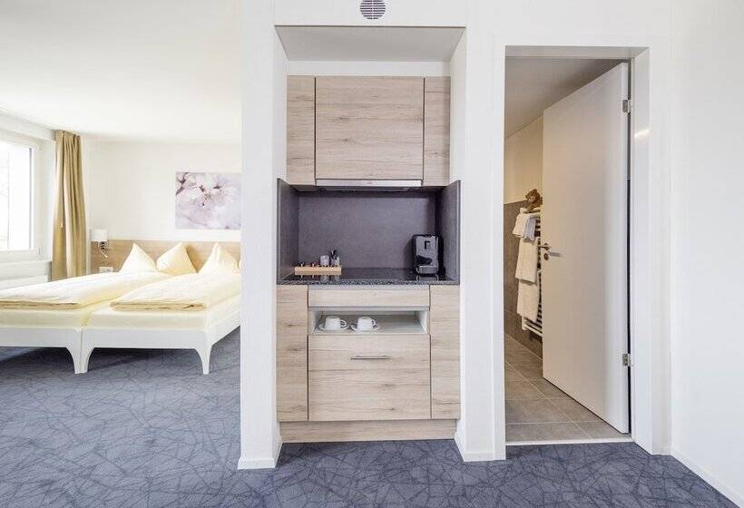 高级大房间, Aparthotel Bären