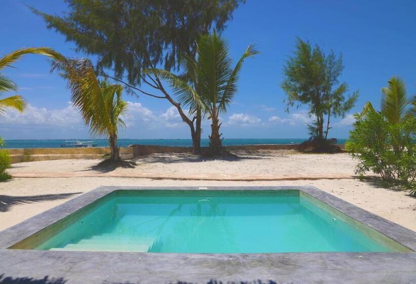 豪华房间, Kikoi Boutique