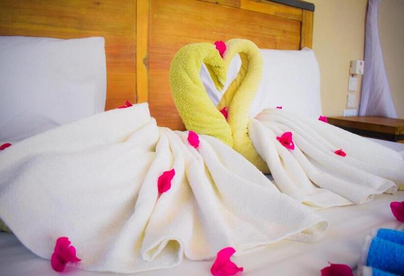 带大床的标准间, Kikoi Boutique